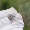 Silver Luxury Earrings - Image 2